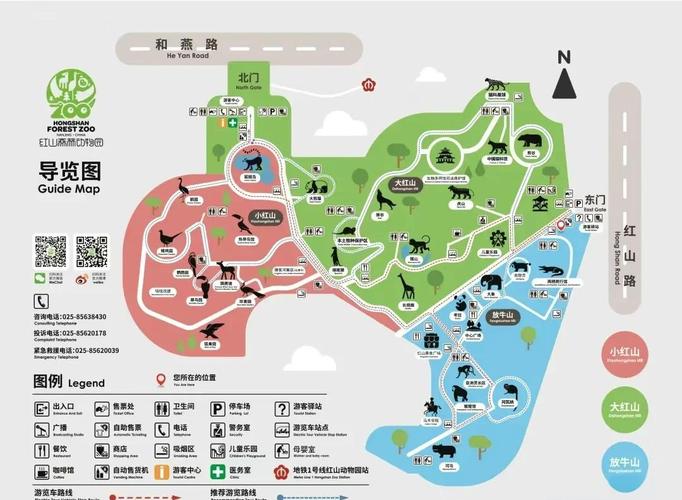 南京红山森林动物园攻略
