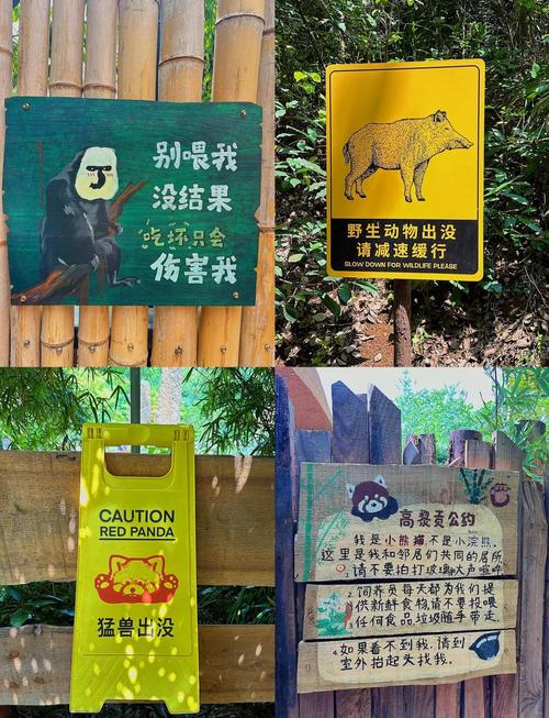 南京红山森林动物园攻略