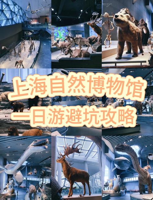 上海自然博物馆预约攻略