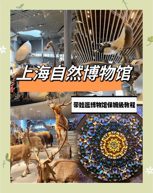 上海自然博物馆预约攻略