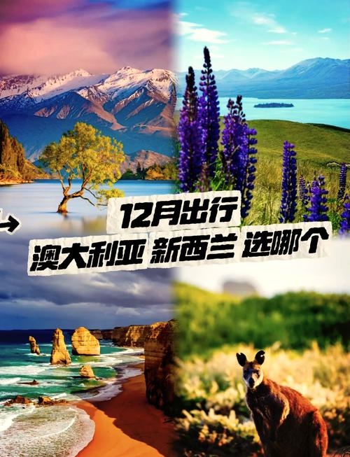 澳大利亚新西兰旅游攻略