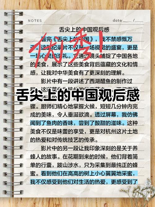 世界对中国美食的看法