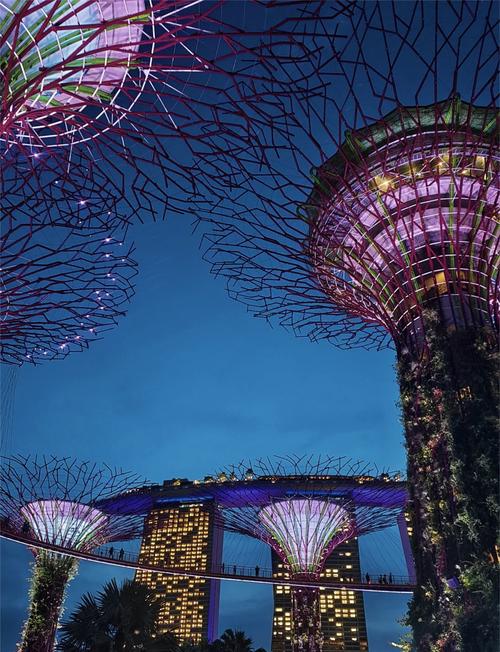 马来西亚新加坡旅游攻略