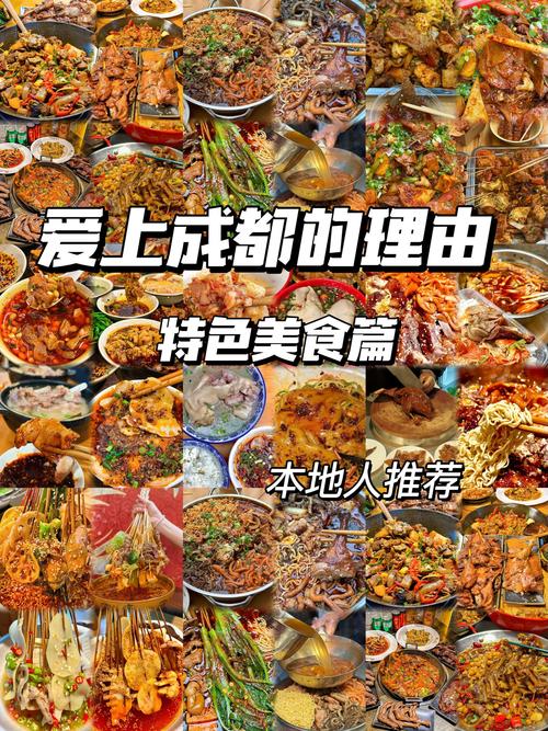 天天向上成都美食汇总