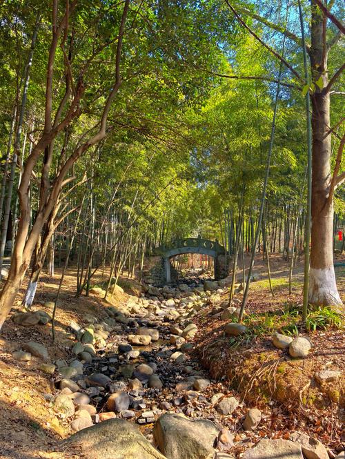 慈溪附近的旅游景点有哪些