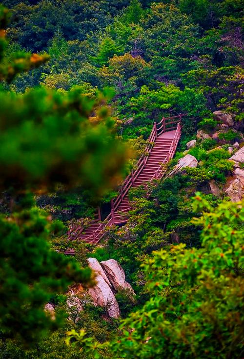 临沂周边的旅游景点有哪些