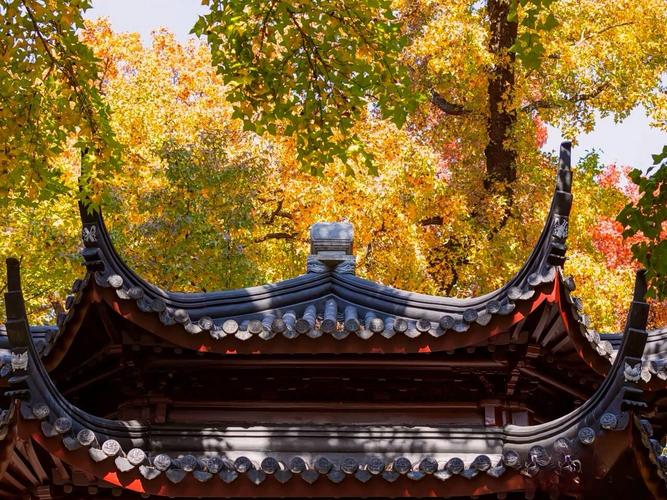 苏州适合冬天去的旅游景点