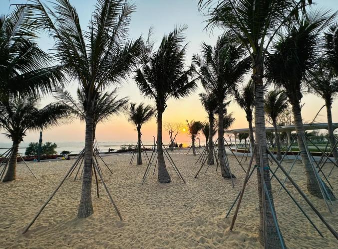 东莞周边海边旅游景点大全