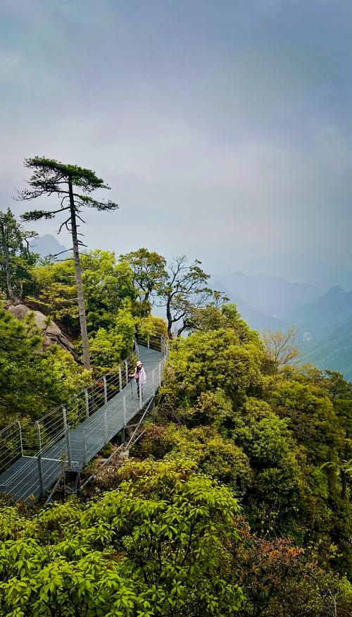 浙江大明山景区旅游攻略