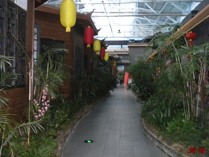 森谷美食公园怎么关了