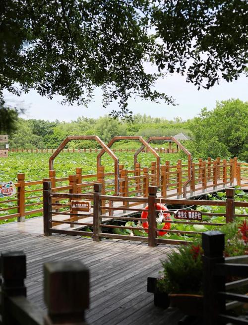 南沙湿地景区旅游景点推荐