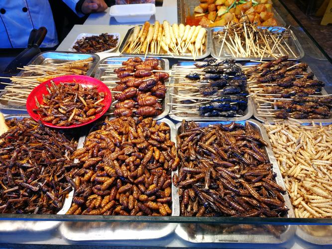 云南特色虫子美食图片