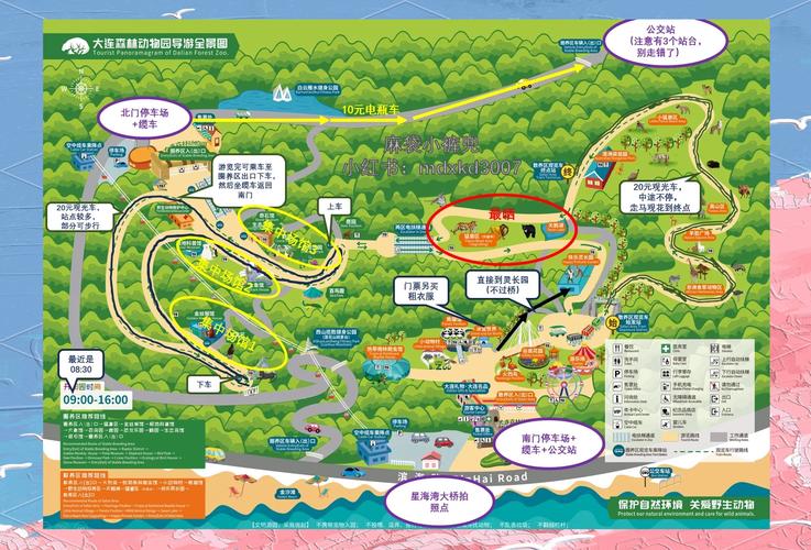 大连森林动物园游玩攻略