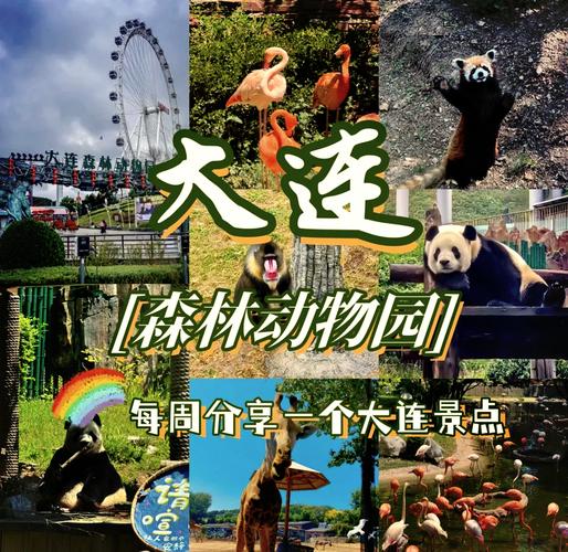 大连森林动物园游玩攻略