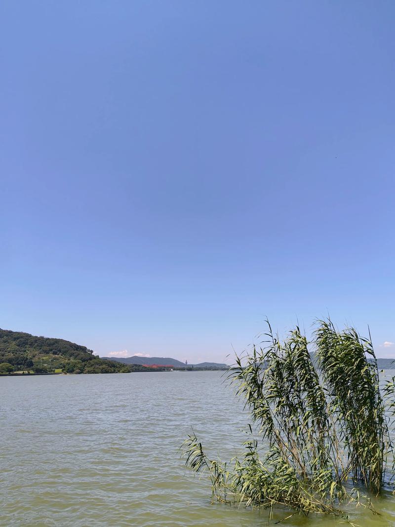 2025无锡免费旅游景点