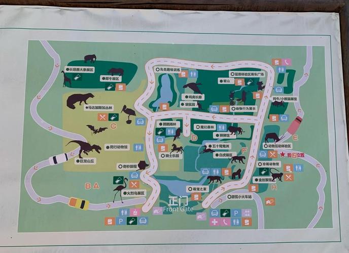 北京野生动物园游玩攻略