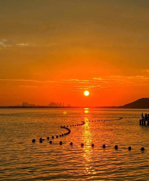 2025武汉免费旅游景点