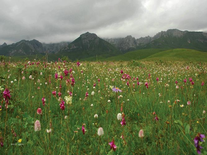 河南蒙古族自治县旅游景点