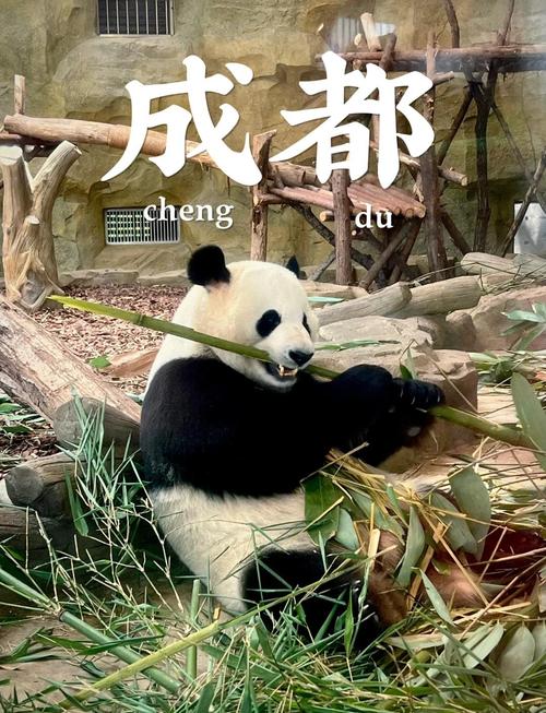 成都6天5晚自由行攻略