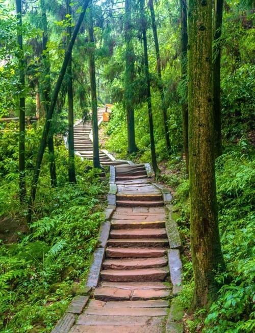 成都周边避暑旅游景点大全