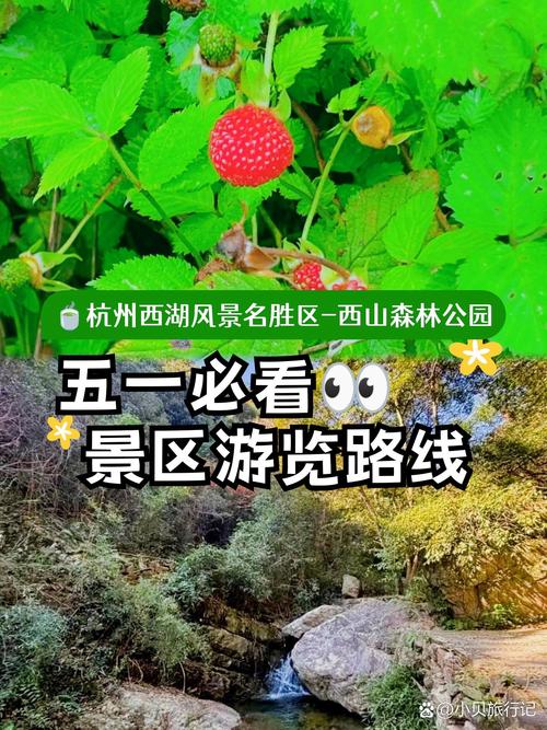 杭州西山森林公园攻略