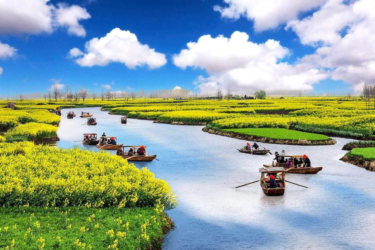 江苏油菜花旅游景点在哪里