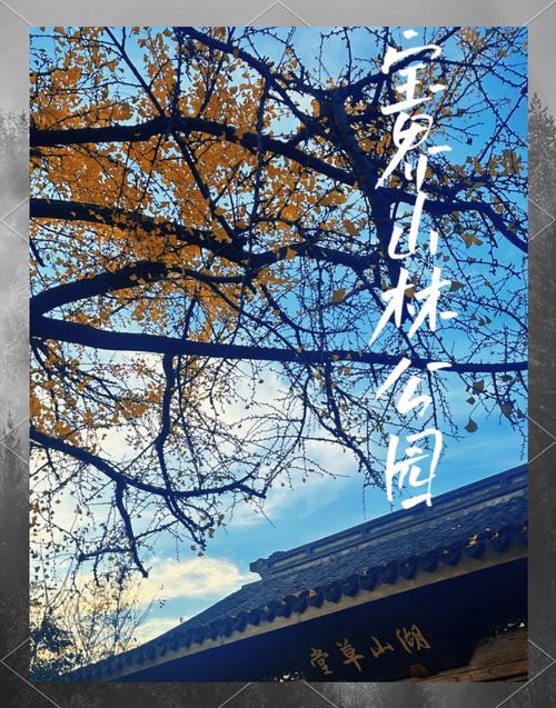 宝界山林公园游玩攻略