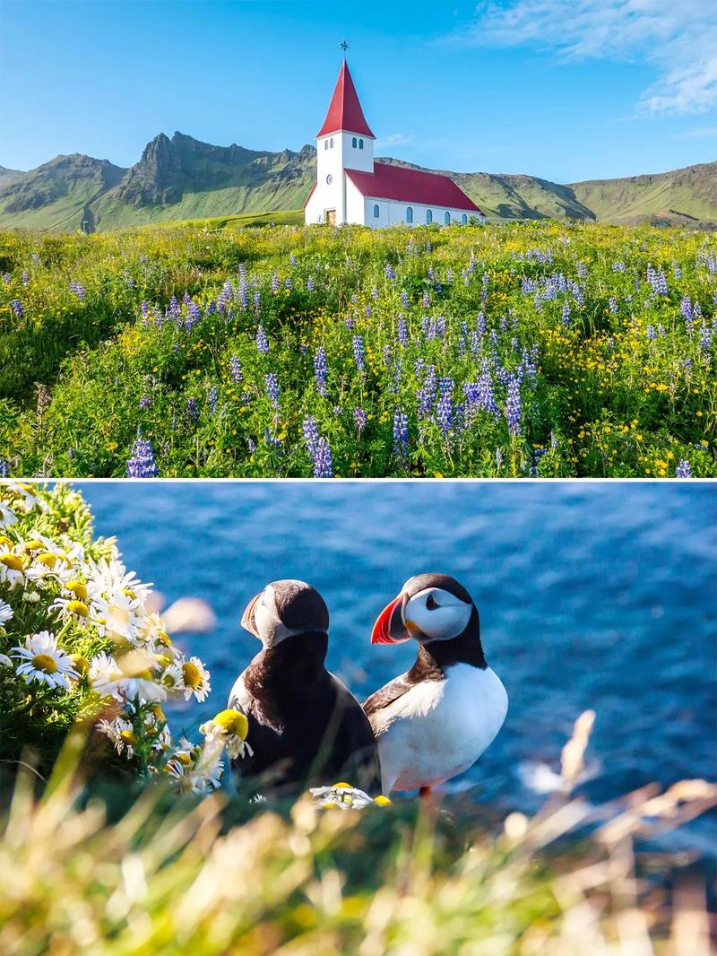 北欧冬季冰岛旅游攻略