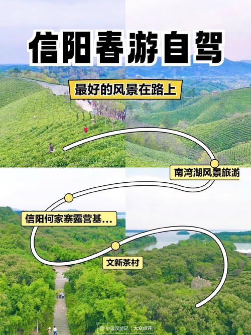 信阳茶园旅游攻略路线