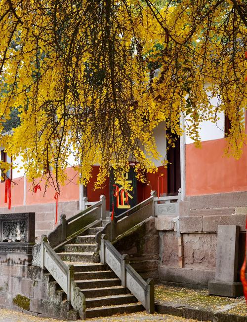 金堂云顶山一日游攻略