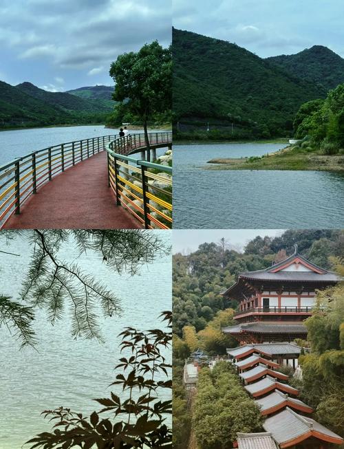 宁波九龙湖度假村攻略