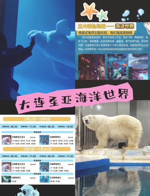 大连圣亚海洋公园攻略