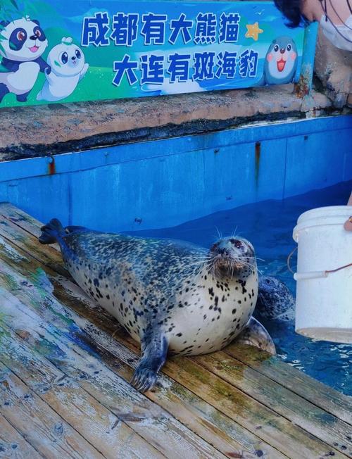 大连圣亚海洋公园攻略