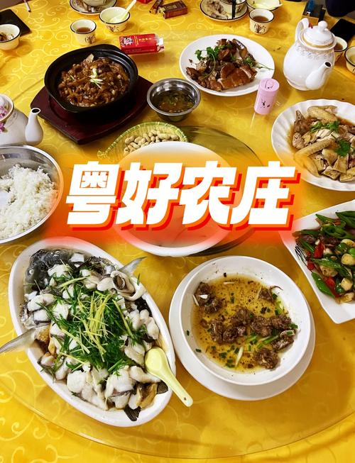 罗定美食哪里饭馆好吃
