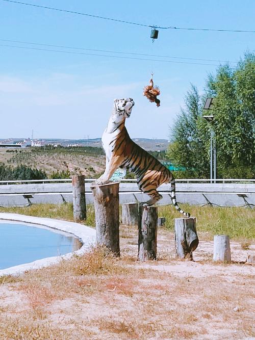 鄂尔多斯有什么旅游景点