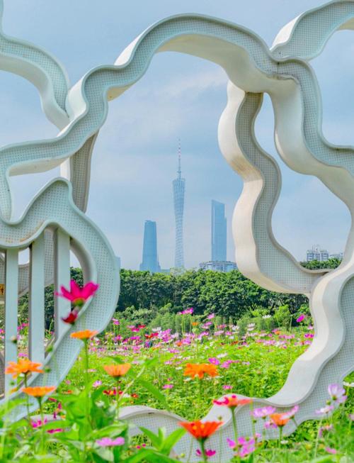 广州哪里有花海旅游景点