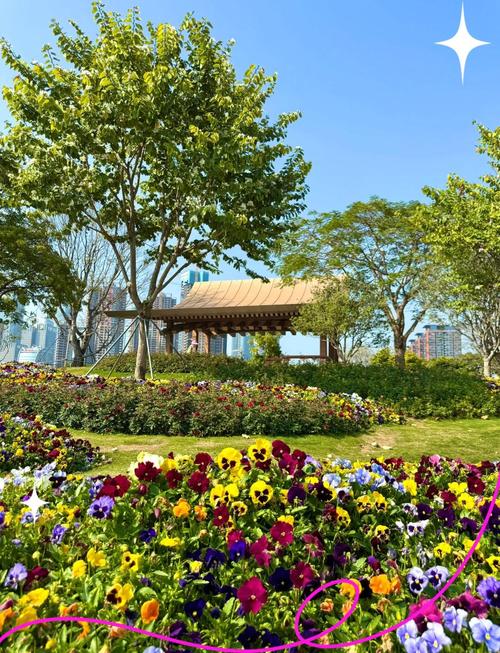 深圳哪里有花海旅游景点