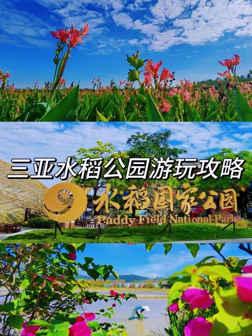 水稻国家公园游玩攻略