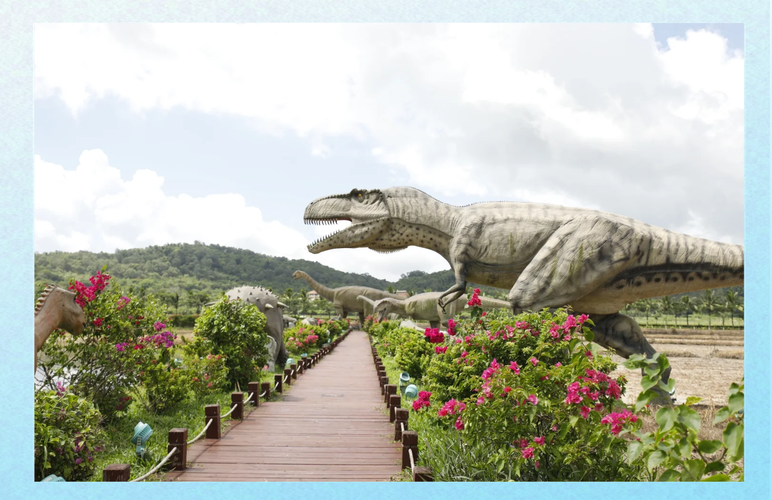 水稻国家公园游玩攻略