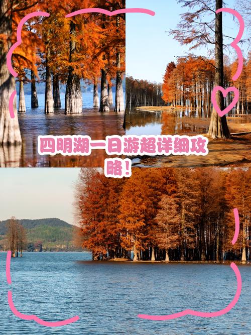 四明湖景区自驾游攻略