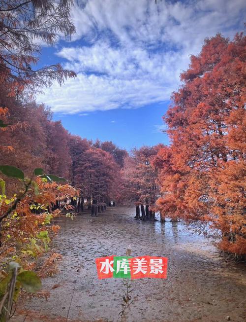 四明湖景区自驾游攻略