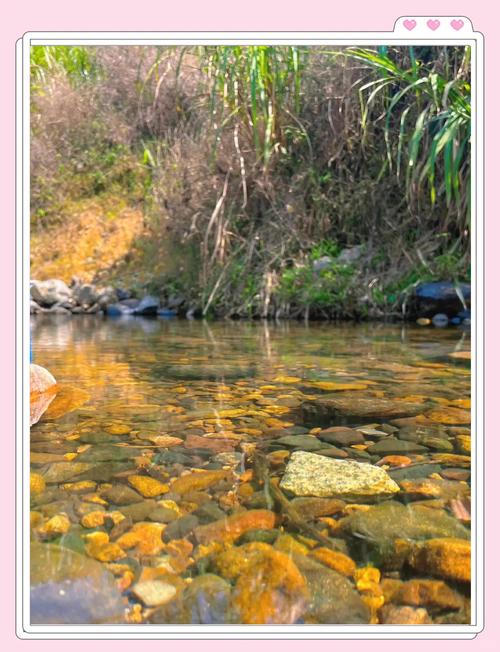 从化溪头村自驾游攻略