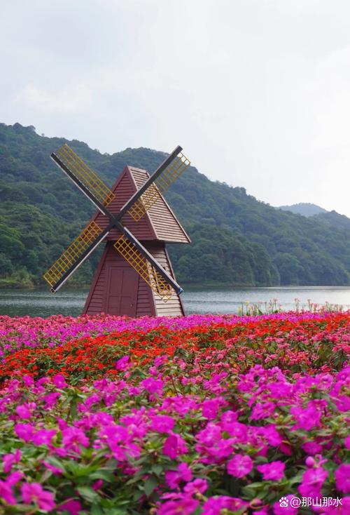 从化石门森林公园攻略