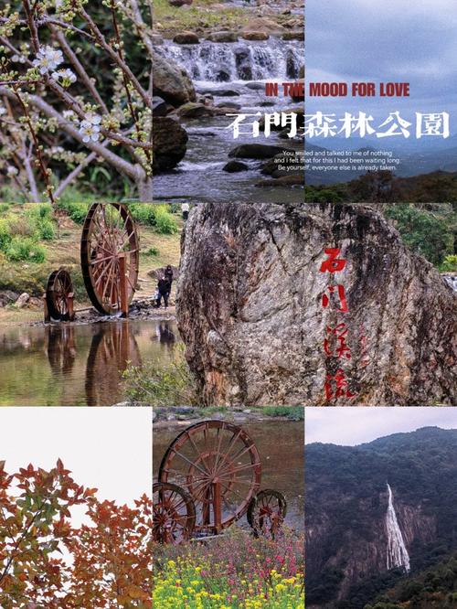 从化石门森林公园攻略