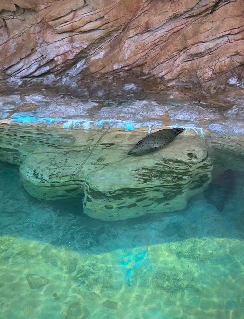 横琴长隆海洋公园攻略