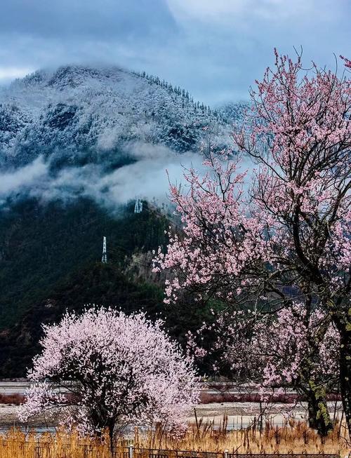 成都到林芝自驾游攻略