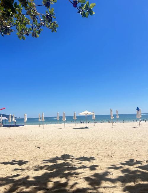 大东海旅游攻略自由行