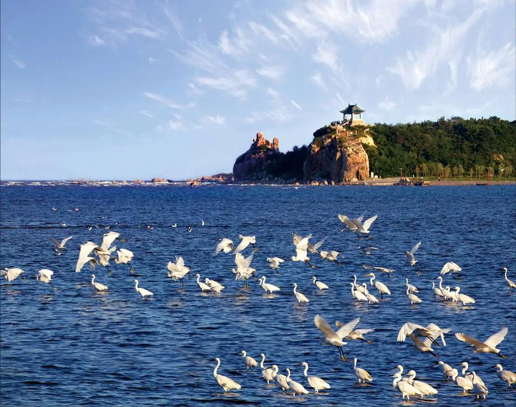 北戴河旅游景点大全图片