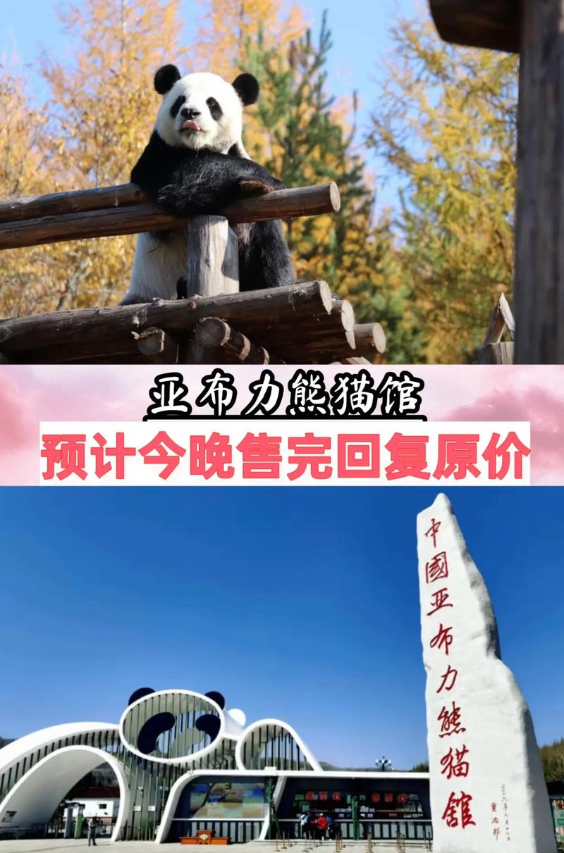 亚布力熊猫馆游玩攻略