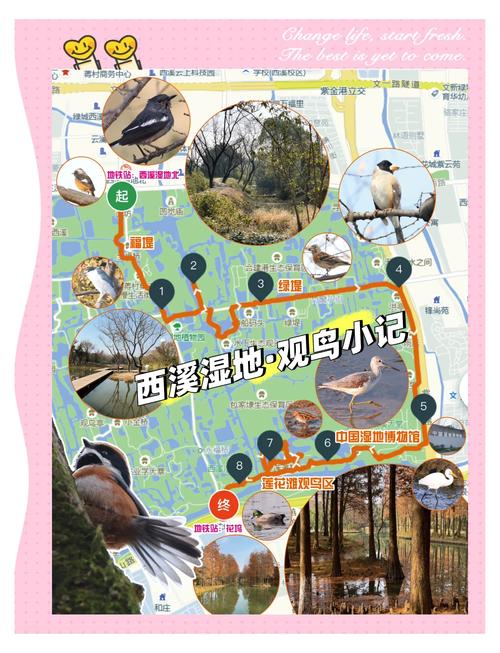 杭州西溪湿地详细攻略